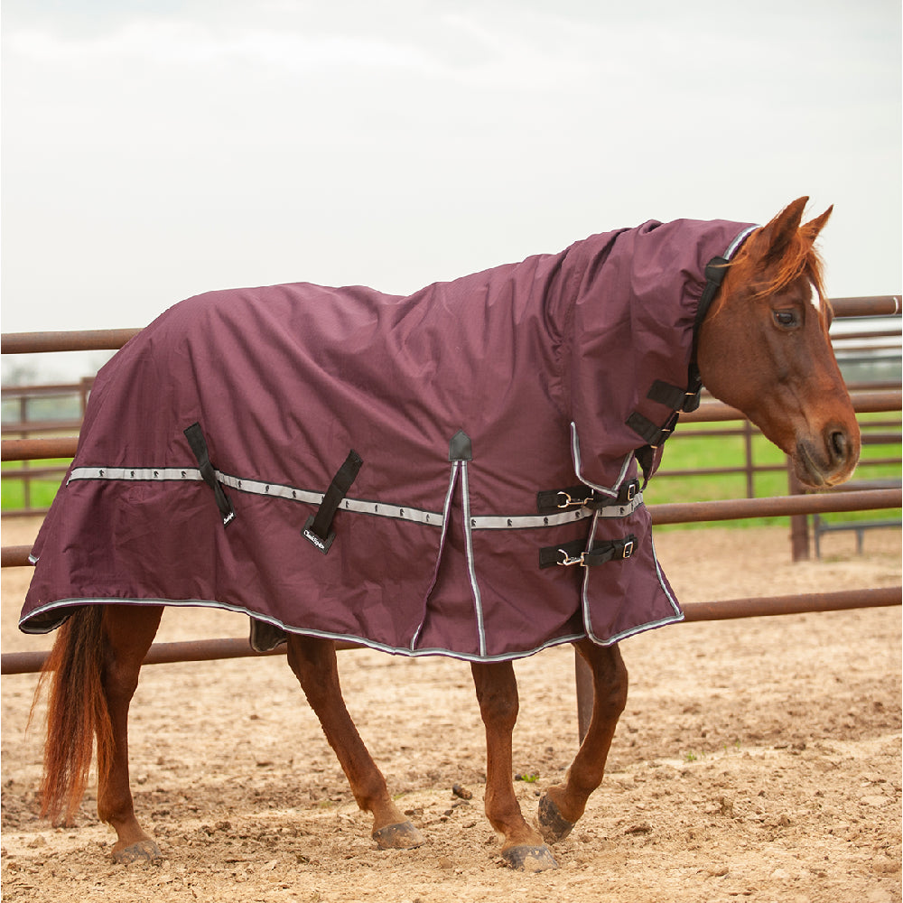 Classic Equine 5K Cross Trainer Hooded Blanket Tack - Blankets & Sheets - Turnout Classic Equine   